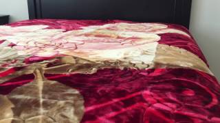 Heavy Thick Plush Velvet Korean Style Mink Blanket by JML