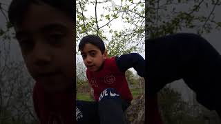 Əliqulular Kəndidə