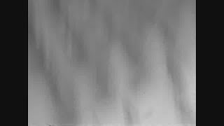 News Item Cd6253F6-8C4F-F593-A24A-1520151A99Cb