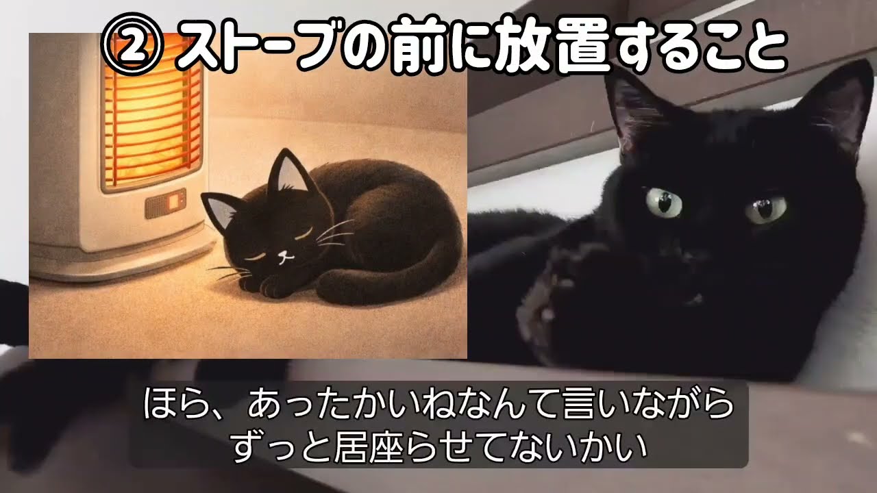 【猫の気持ち】猫の冬対策！冬にしがちな猫のNG行動【猫雑学】