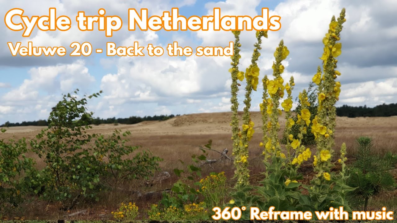 Dutch Veluwe Road Trip 20 - Back to the sand (Reframe - Music)