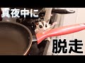 【フクロモモンガ】ももんが夜中に脱走、、アクリルケージの意外な弱点！