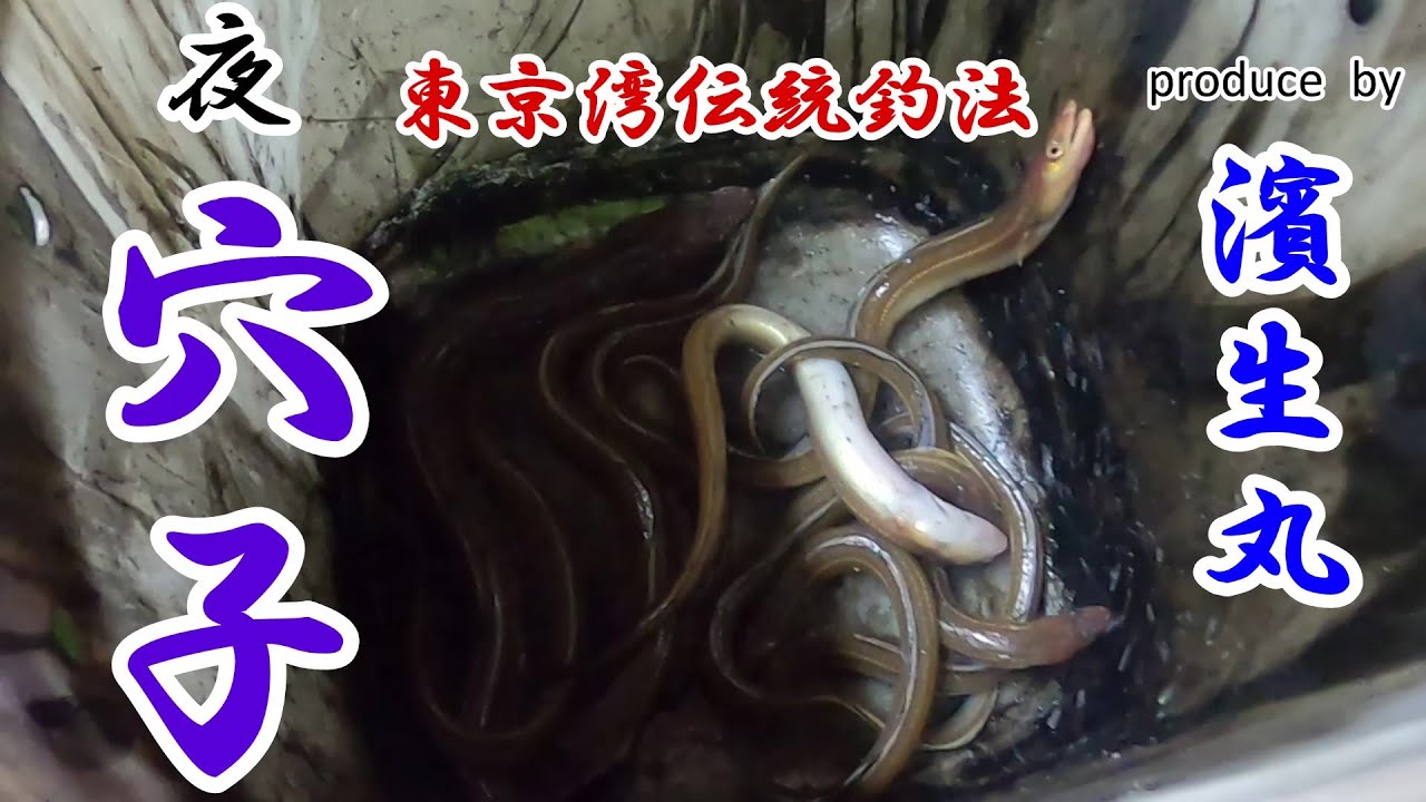 真冬の夜アナゴ