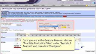 EuPathDB: Restriction Sites in GBrowse