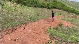 Storm And Rain Management On Kava Juru Farms