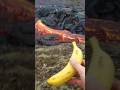 Banana In River Of Fire