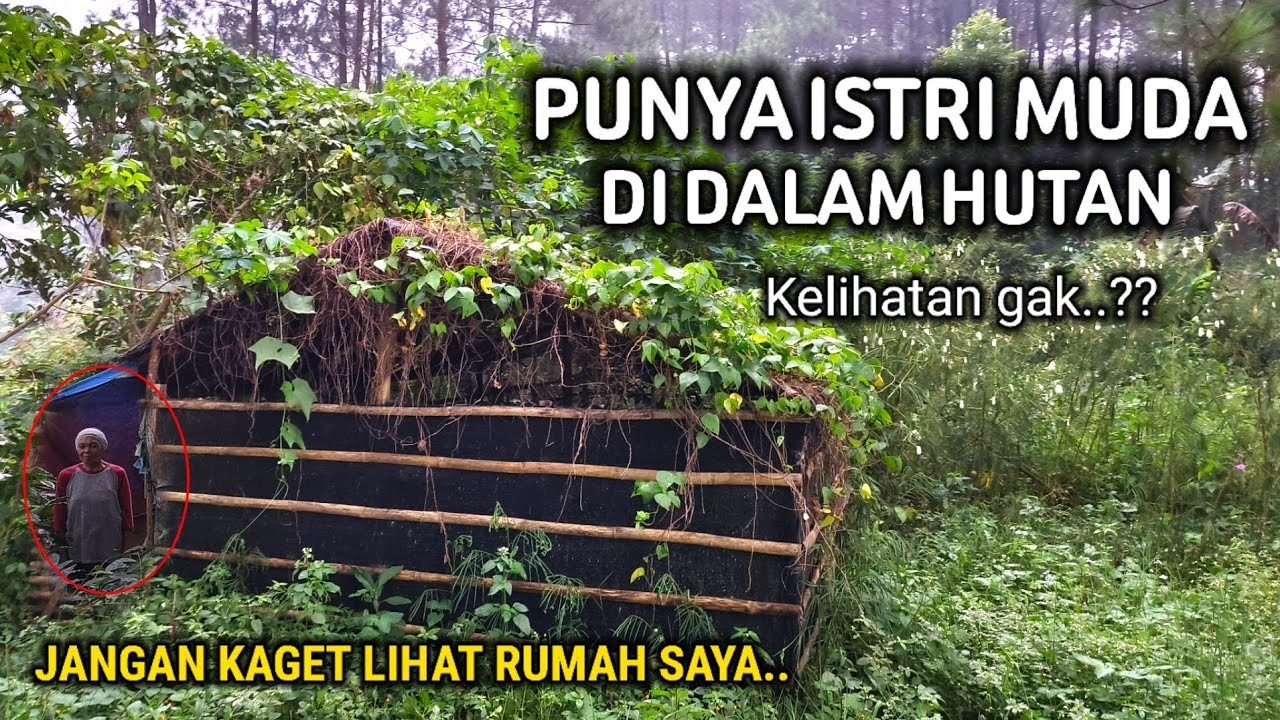 RUMAH POCONG DI TENGAH HUTAN BELANTARA