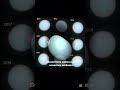 Uranus: The 98° Tilted World#uranus #space #astronomy #science #solarsystem #shorts