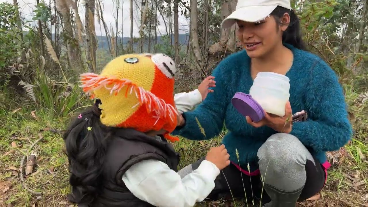 Voy a construir una casita y miren quien me va ayudar 😜