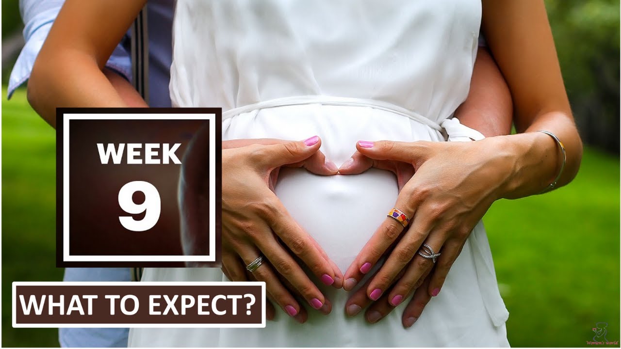 9 Weeks Pregnant What To Expect YouTube 9-weeks-pregnant-what-to-expect-youtube