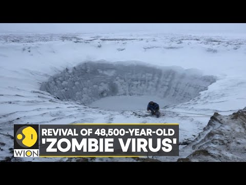 Video: Može li pithovirus sibericum utjecati na ljude?