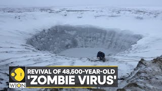 WION Climate Tracker: Scientists revive 48,500yearold ‘zombie virus’ buried in ice | English News