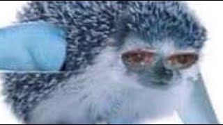 Drink Iced Coffee, Panic Attack. Past Afton Kids Gacha Club My Au