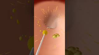 Vegetables on the touch 3D Special Effects | 3D Animation #2025 #animatedscreen #creativeshrimp