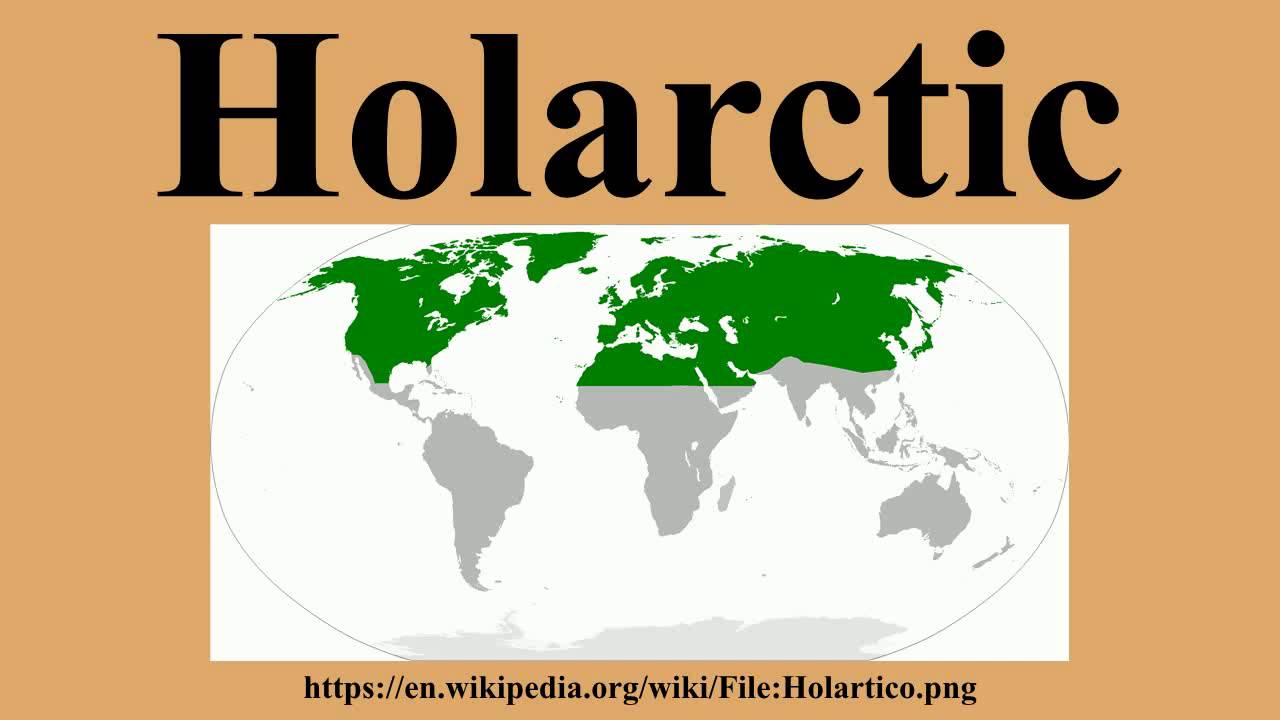 Holarctic
