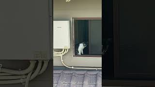 IMG 4792