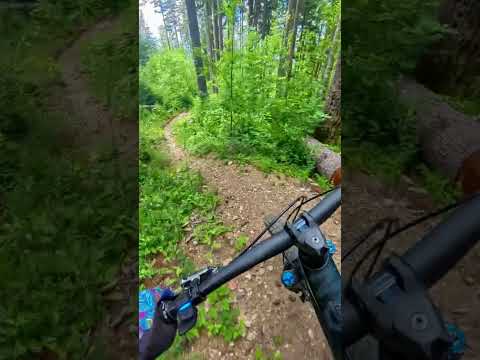 22 Seconds of Perfect Washington Singletrack 🌲🔥