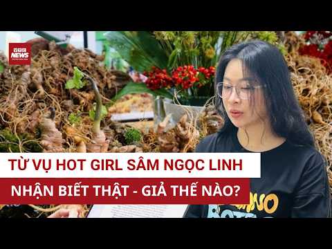 Từ vụ “hot girl bán sâm Ngọc Linh giả”: Chuyên gia chỉ cách nhận biết sâm thật | VTC News