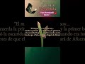 ¿Quién es Tom Bombadil? | Historia y Origen en la Tierra Media