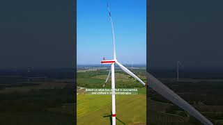 The Green Leap: Careers in Sustainability #career #greenjobs #climateaction