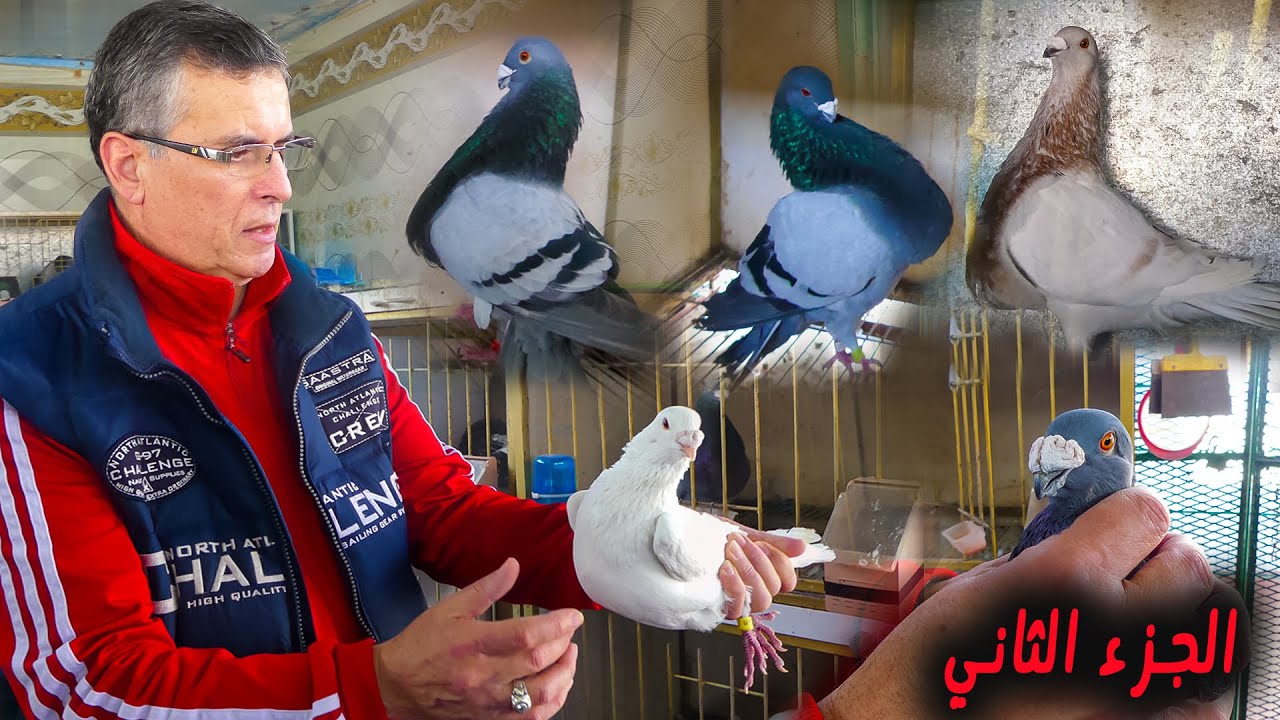 أجمل توليعة من طنجة عند البطل الكبير 