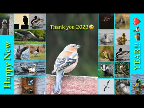 THANK YOU 2023! 📸🦆❤️