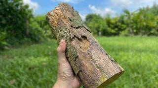 Turning A Rotten Log Into A Million - Dollar Tool Amazing Invention Of A 60 - Year - Old Carpenter