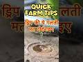 पानी है, मोटर है… फिर भी ड्रिप नहीं चल रही?तो जरूर देखिए यह वीडियो #dripirrigation #farmingtips