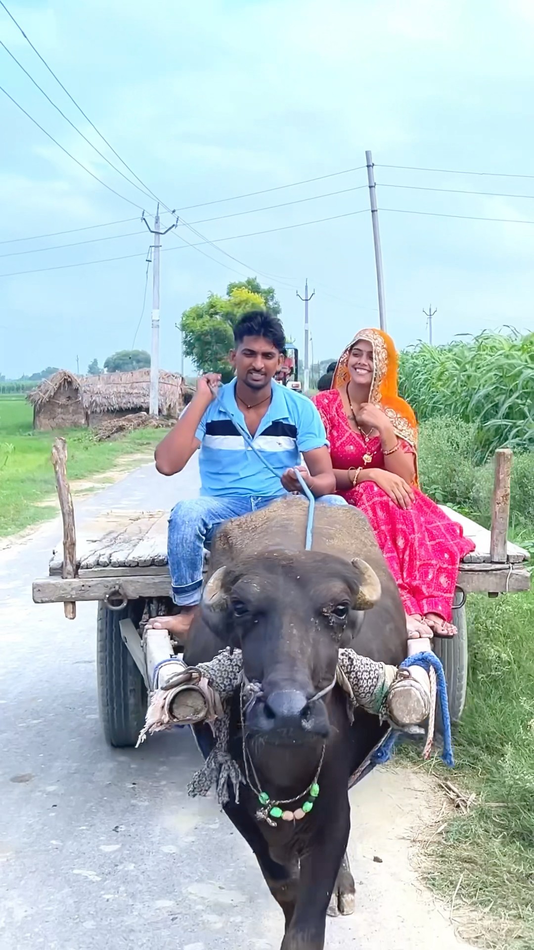 छोरा तू तोता ? में मेना #shorts #meenu #trending #trendingshorts
