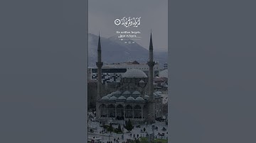 سوره الاخلاص |شريف مصطفى