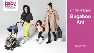 bugaboo ant youtube