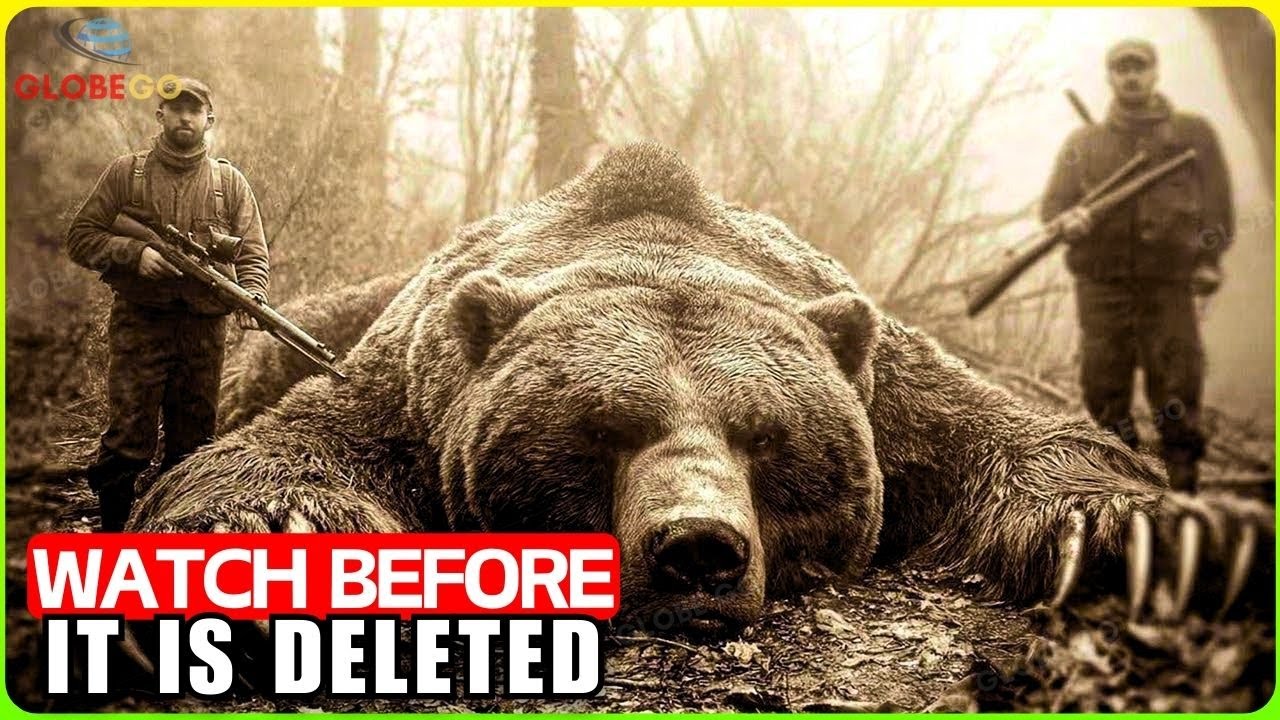 If These GIANT ANIMALS Were Not Recorded, NO ONE Won't Believe They Exist! Documentary