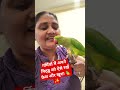 गर्मियों में तोतों की खास देखभाल: ठंडी जगह और बहुत सारा प्यार! 🌡️❄️#IndianRingneck​#ParrotCareTips