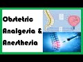 Obstetric analgesia and anesthesia  pain relief in labour