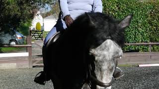 DSC 8628
