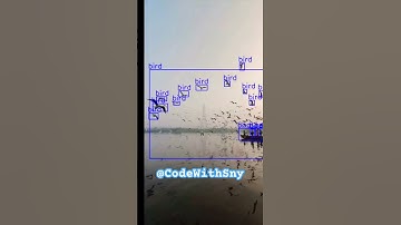 Yolo in action. Computer vision at its best. #coding #ai #yolo  #machinelearning