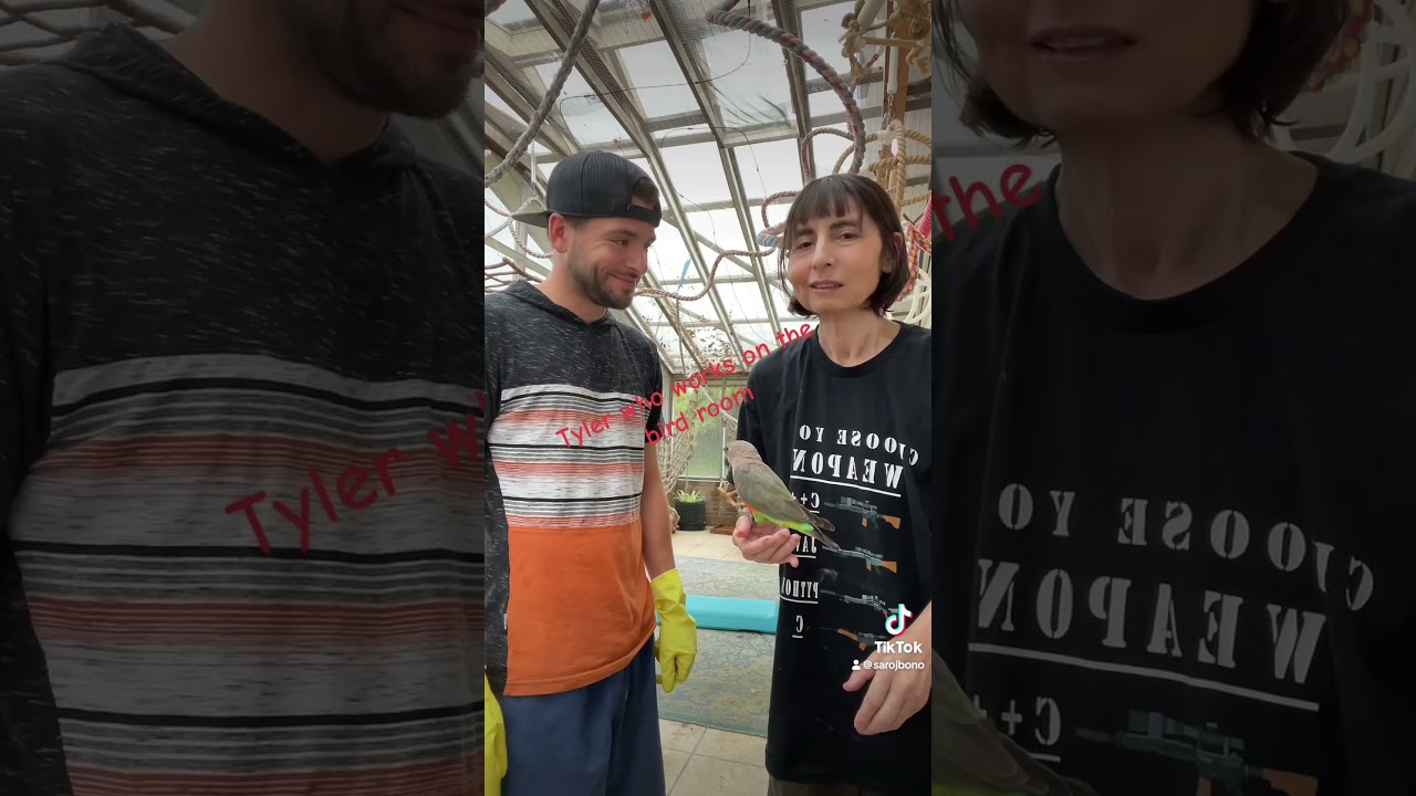 Lol! The double sound effect 😂