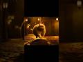 Funny very fat cat running after a mouse #viral #amazing #funny #fat #mouse #cat #funnyvideos #pets
