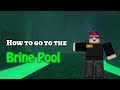 how to go to the brine pool