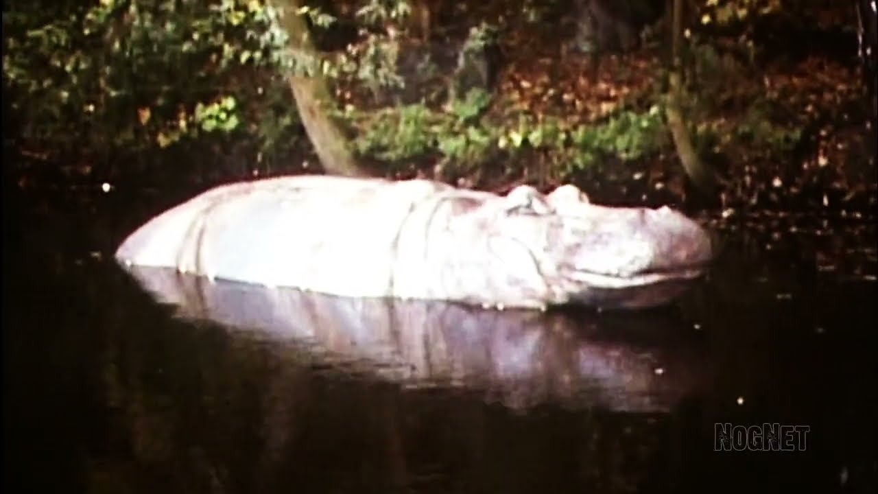 Freizeitpark Phantasialand (Oktober 1979)