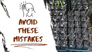 AVOID These Mistakes! Propagate Fruit Trees Like a PRO  | Ultimate Cuttings Guide