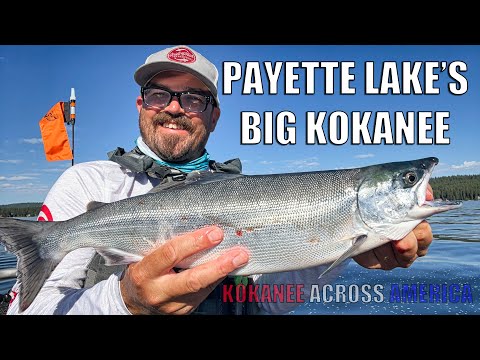 Chasing Monster Payette Lake Kokanee (Kokanee Across America - Bonus!)