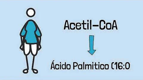 Onde fica armazenado o Triacilglicerol?