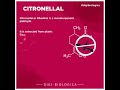 Citronellal Bio Chemistry Motion Graphics Biochemistry Motiongraphics Scicomm Citronellal Citronellal Bio Chemistry Motion Graphics Biochemistry Motiongraphics Scicomm Citronellal