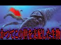 超巨大!!かつてこの世を支配していた古代生物3選【キモカワな古代生物#2】
