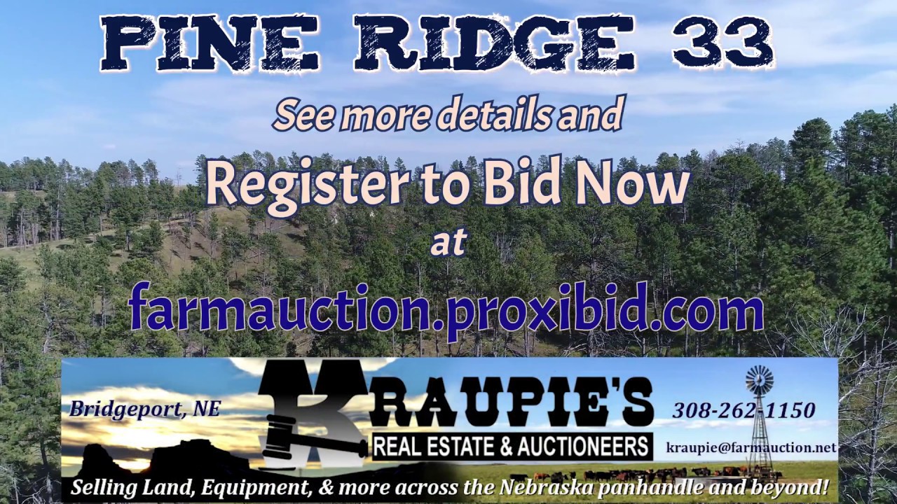 Pine Ridge 33 Online Only LAND AUCTION! YouTube