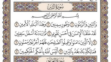 سورة التين مكتوبة / ماهر المعيق