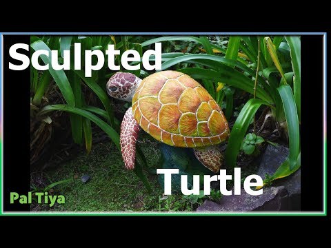 How to Sculpt a Turtle