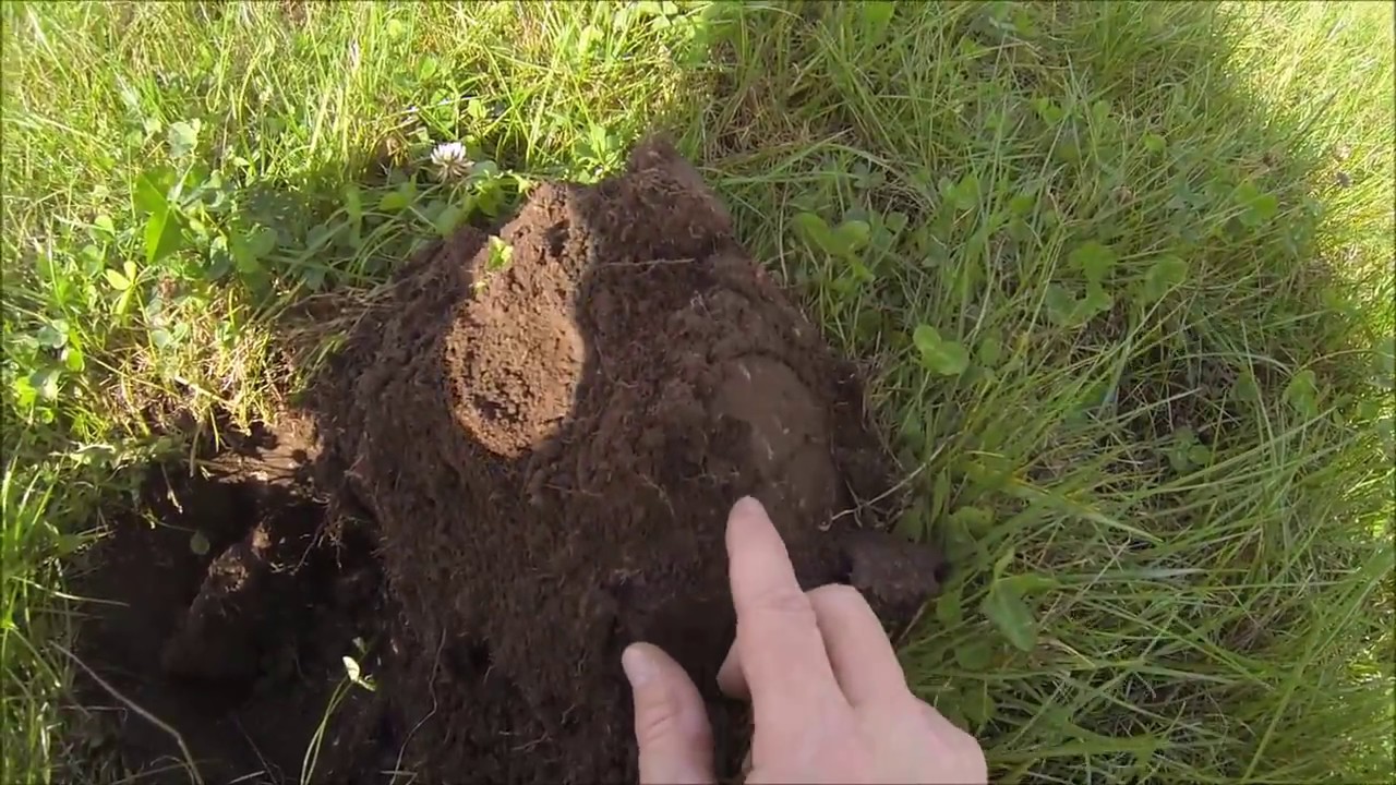 detection de métaux 