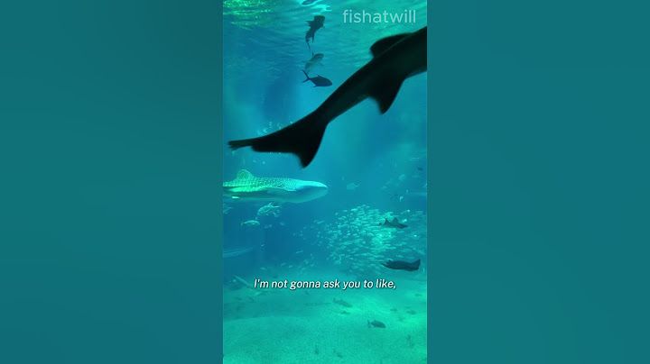 Osaka Aquarium Kaiyukan